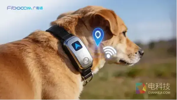 EW 2026 | 领跑宠物科技：MQ771-GL 重新定义智能项圈