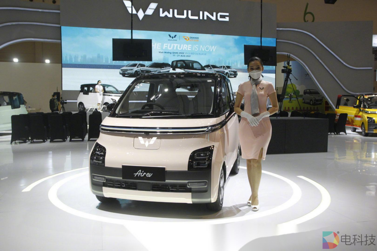 欧盟各扫门前雪，哪管德国瓦上霜，对中国电动车加关税到底苦了谁