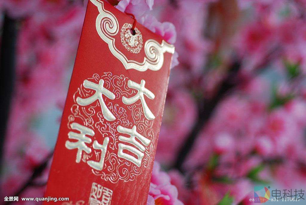 春节临近，原来28%的中国人都会这样选择？ –