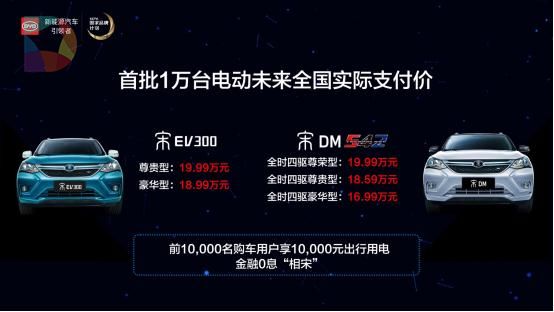 自主品牌，自主品牌,新能源汽车