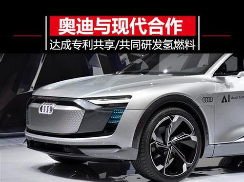 奥迪与现代“抱团”，汽车行业脱离各人自扫门前雪时代