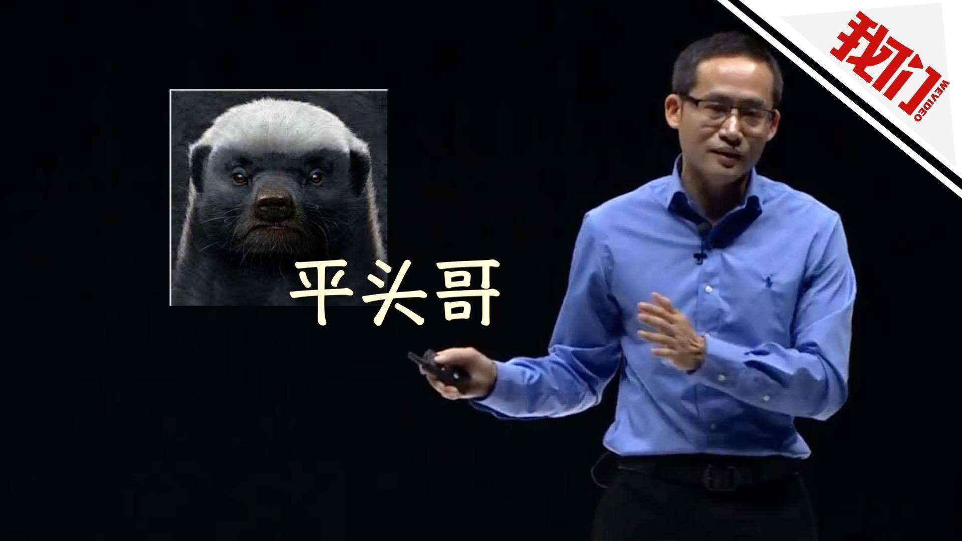 马云亲自命名，阿里成立平头哥芯片公司