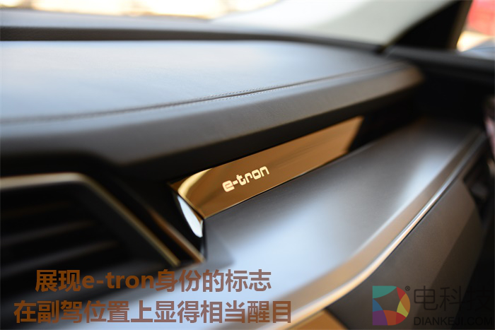 e-tron 15.png