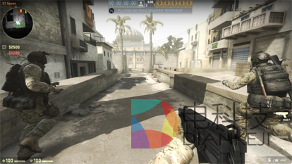 FPS 游戏，中国玩家