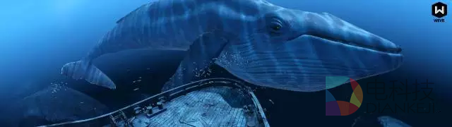 全球VR行业都有哪些创新企业？