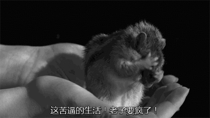 bd759d6djw1f7atvkxhc7g20bu06o4nk (1).gif