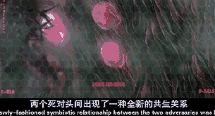 黑客帝国动画版.1024高清中英双字.mkv_1473247369.gif