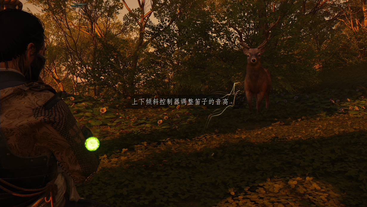 《对马岛之魂 导演剪辑版》：为了提升沉浸感，开发商都做了什么？