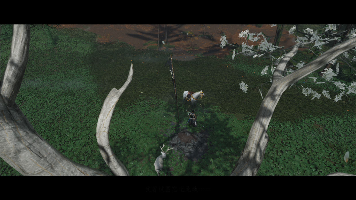 《对马岛之魂 导演剪辑版》：为了提升沉浸感，开发商都做了什么？