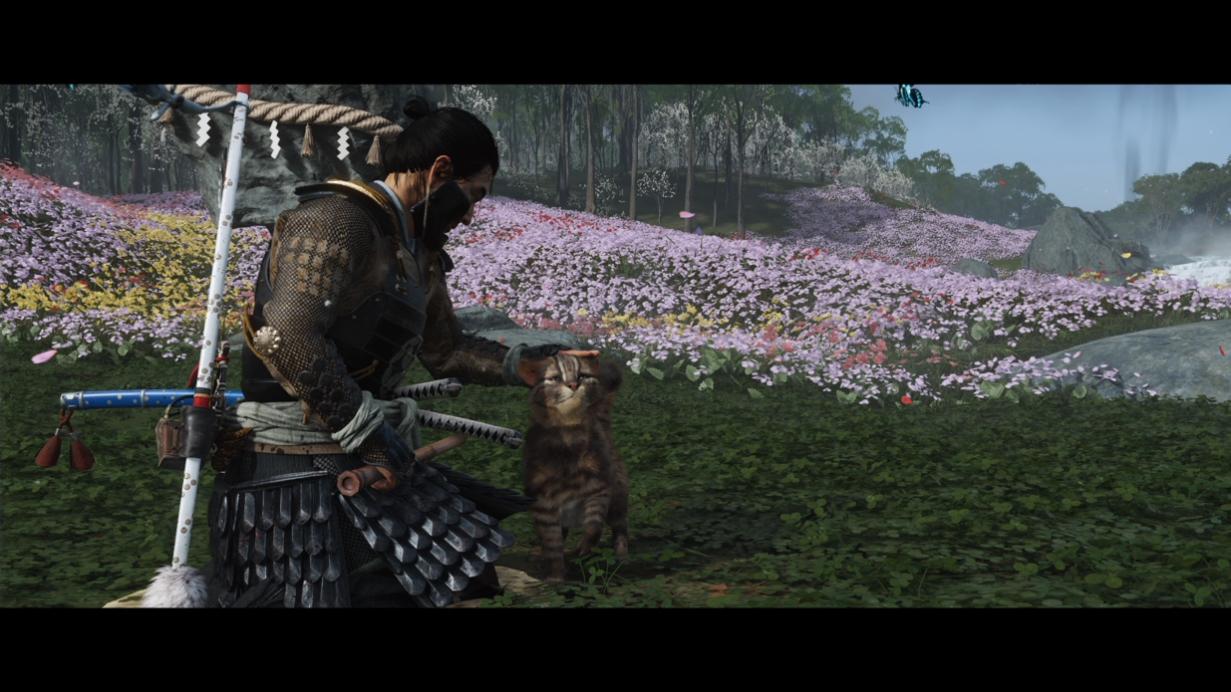 《对马岛之魂 导演剪辑版》：为了提升沉浸感，开发商都做了什么？