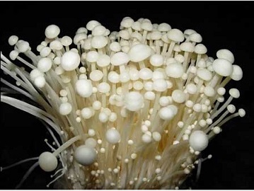 老段说：互联网电视的四大关键转变