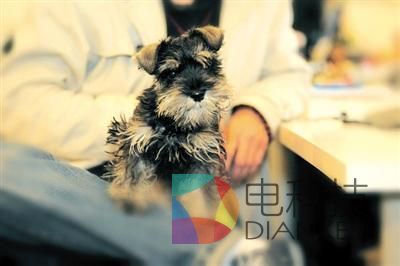 豆瓣十年：一亿文艺青年在一起，就成了风格