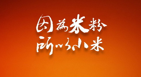 小米清货节数据解读：青春有余厚重不足