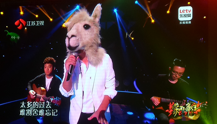 十个节目九个明星化 网综的出路在哪里？