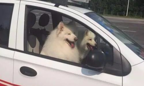 无人驾驶汽车的爱与痛