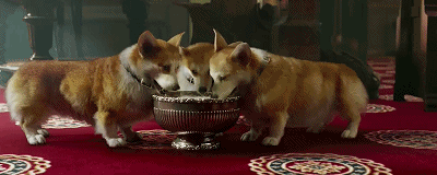 BFG 2.flv_1476509792.gif