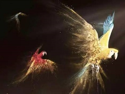 麻雀太小没有肉！大量家电经销商就这么消失了