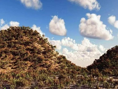 厨电双雄格局仍难撼动：家电企业跨界抢市难抢心