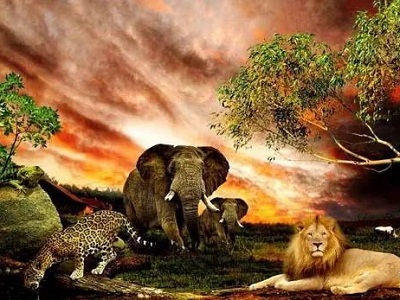 原材料涨价潮起 宁波洗衣机企业集体涨价求生