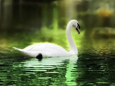 帅康厨电正在被谁抛弃？日出东方不是救世主