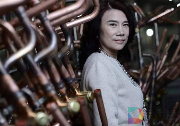 董明珠加速布局智能装备 格力被指空调老大地位不保