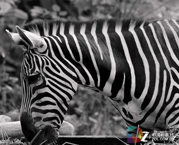 被骗整整20年！电视对比度其实毫无意义