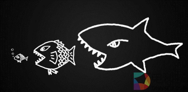 喊了这么多年的大屏OLED 如今可都安好？