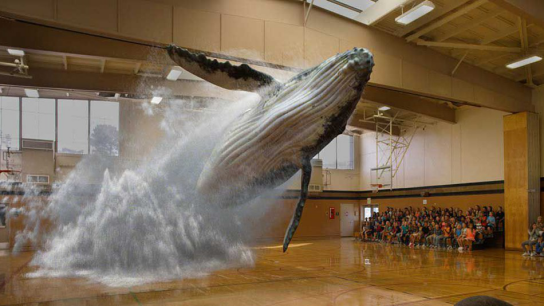  AR厂商Magic Leap证明了一件事：融资13亿美元也可能什么产品都做不出来