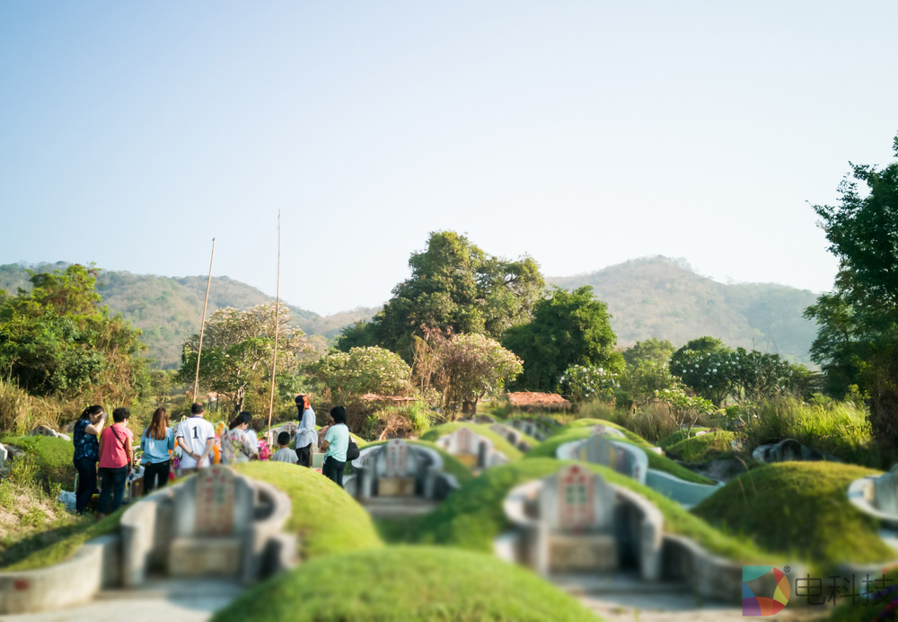 疫情之下，清明节“云祭扫”成风，但不要让“打榜”伤了纯真孝心