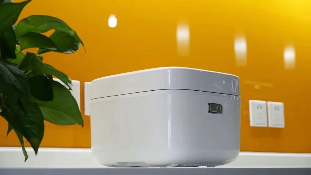 纯米困在电饭煲里