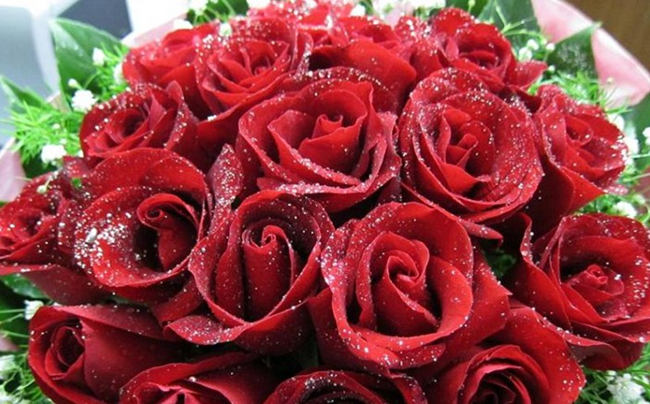 520到了，大酋长替你去告白！