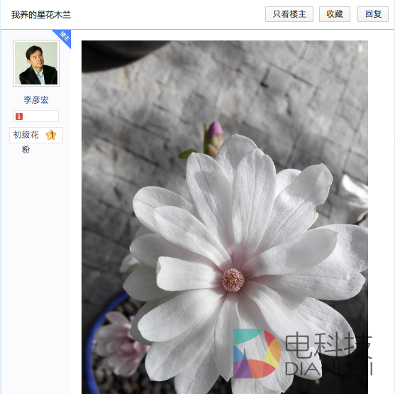 诗意李彦宏,谁道英雄一定寂寞? 诗意李彦宏,谁道英雄一定寂寞?