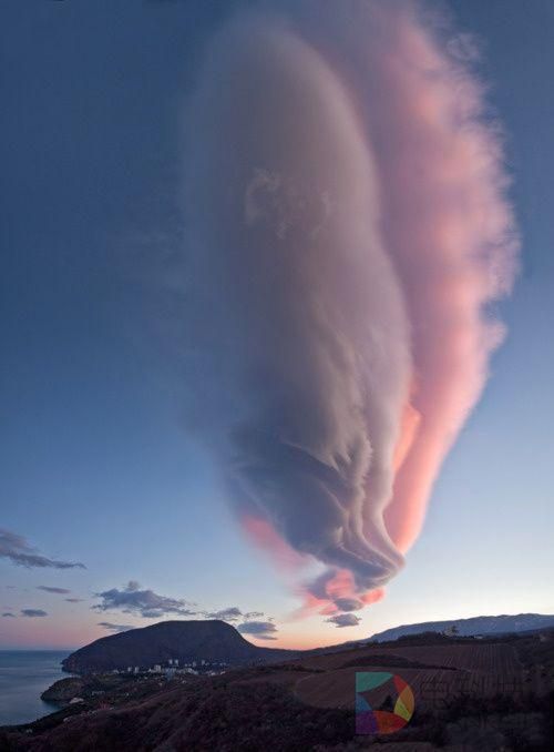 柏林刮起“中国旋风” TCL H8800斩获国际大奖