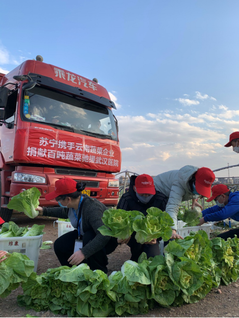 苏宁捐献100吨蔬菜驰援武汉！三千里一日达！