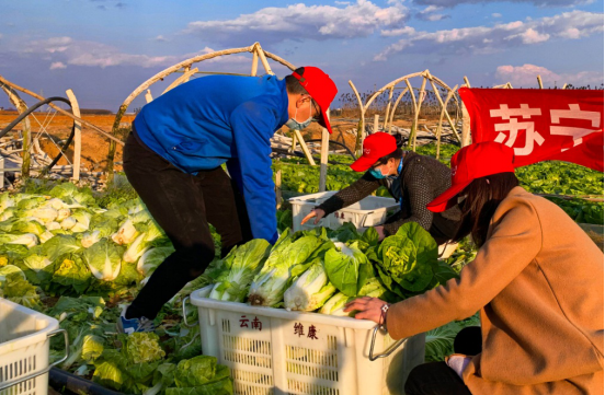 【0205】苏宁捐献100吨蔬菜驰援武汉！三千里一日达！729.png