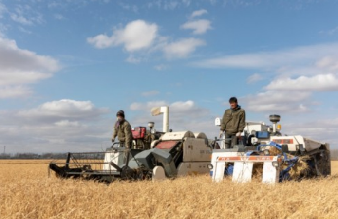   苏宁拼购启动全民营销：单日直播180场，带货23万单