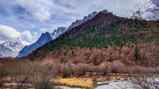 【iQOO新闻】最强性能机iQOO Neo3发布，售价2698元起1876.png