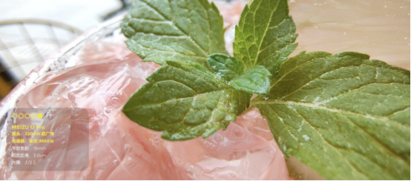 （新闻稿）魅族 17 系列 5G 梦想旗舰正式发布 售价 3699 元起1703.png