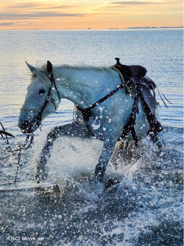 【vivo新闻】生命的二分之一 vivo X50 Pro+精彩样张凸显影像实力683.png