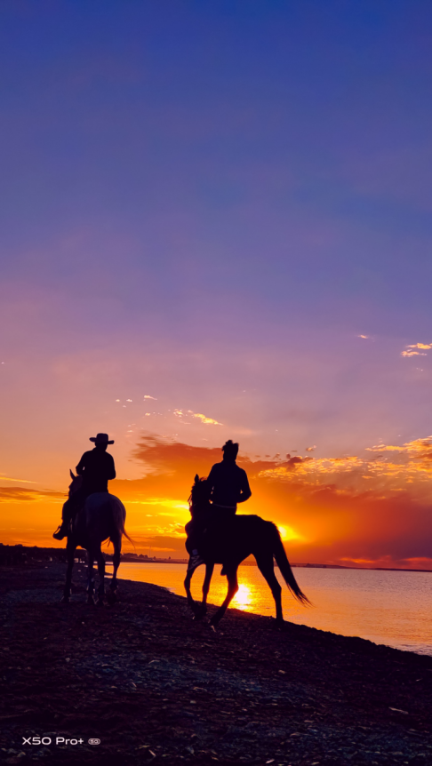 生命的二分之一 vivo X50 Pro+精彩样张凸显影像实力