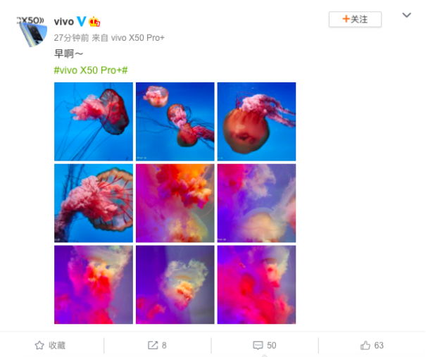 【vivo新闻】超感光大底显实力&nbsp;vivo&nbsp;X50&nbsp;Pro+秀水族馆暗光样张322.png