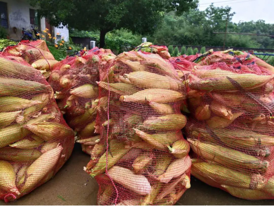 苏宁多措并举，硬核助力一线抗洪