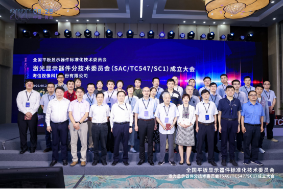 首个新兴显示技术分标委正式成立！海信牵头制定国家标准