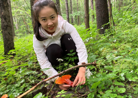 苏宁拼购赋能小人参新渠道，“人参姑娘”带动乡亲致富