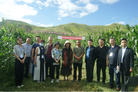 苏宁消费扶贫数字化升级助力乡村产业振兴