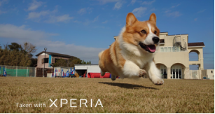 新闻稿_Xperia 1 II&Xperia 5 II_10151447.png