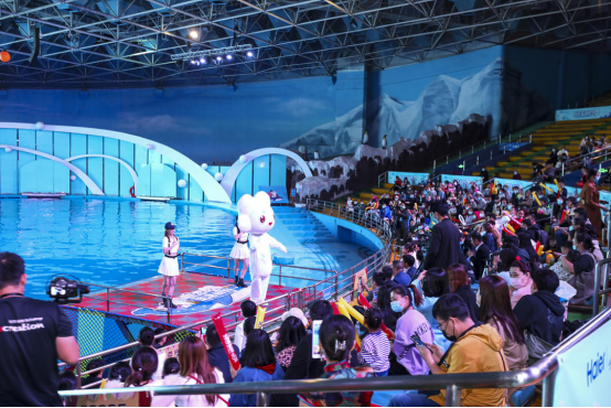 七萌团携智小兜狂欢  海昌海洋公园与海尔智家小件达成战略合作1774.png