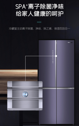 权威认证：海信真空休眠冰箱512真空休眠舱保鲜效果显著1016.png