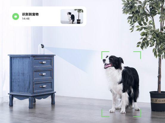 小米智能摄像机新闻稿544.png
