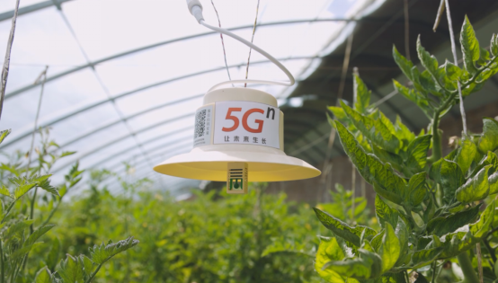 激发乡村振兴内生力  陕西联通打造西部地区乡村数字治理新标杆436.png